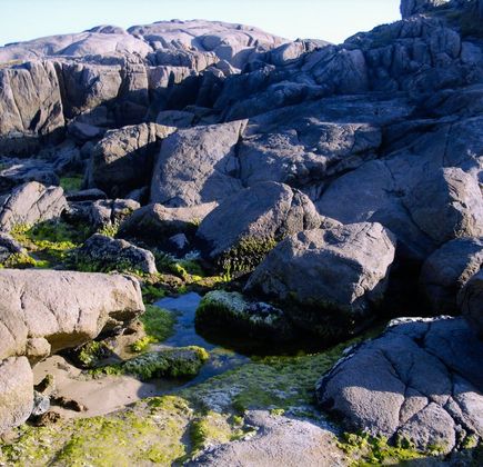 Northern Rocks 1