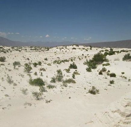 Cuatro Cienegas Reserve 1