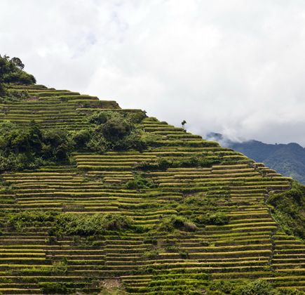 Batad Rice Terraces 1