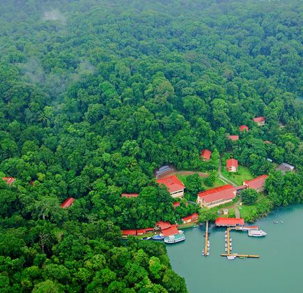 Barro Colorado Island 1