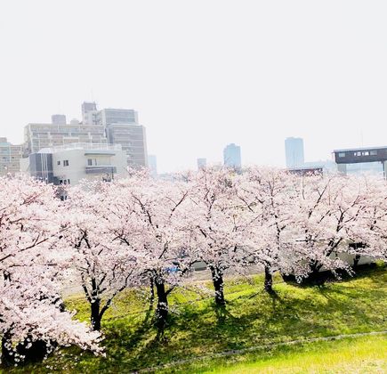 Yodogawa Kasen Park 1