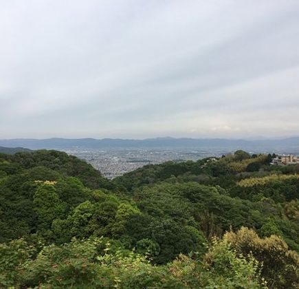 Mt. Shigi 1