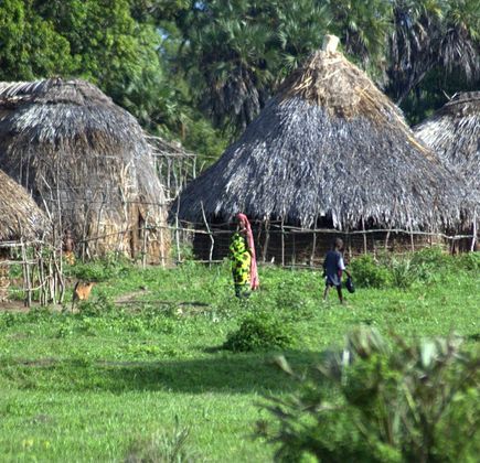 Sacred Mijikenda Kaya Forests 1