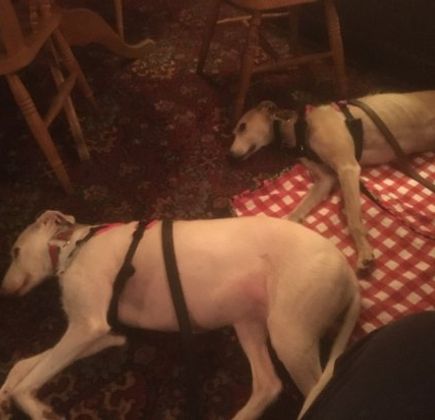 The Crown Inn Cootham 1