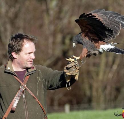 National Centre for Birds of Prey 1