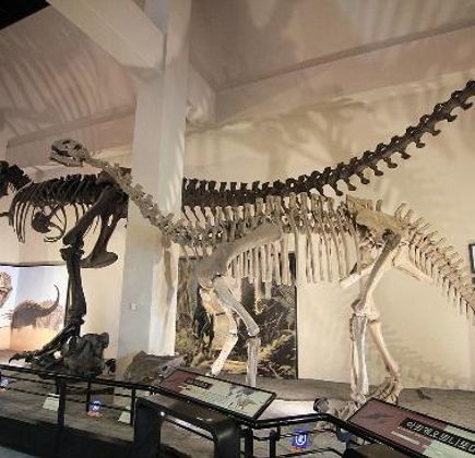 Goseong Dinosaur Museum 1