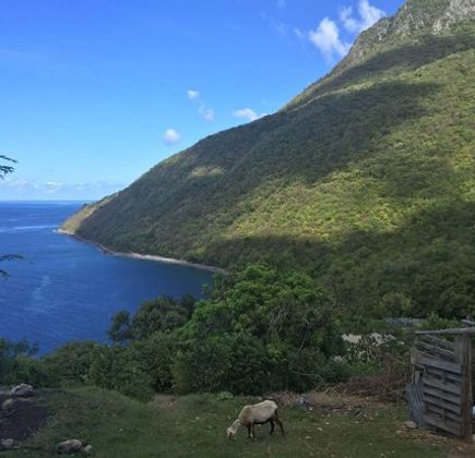 Saint Lucia Shuttle 1