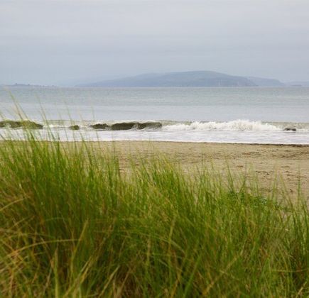 Doran Beach 1
