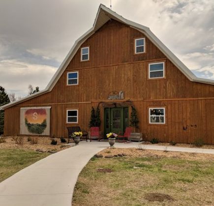 Shiloh Vineyard 1