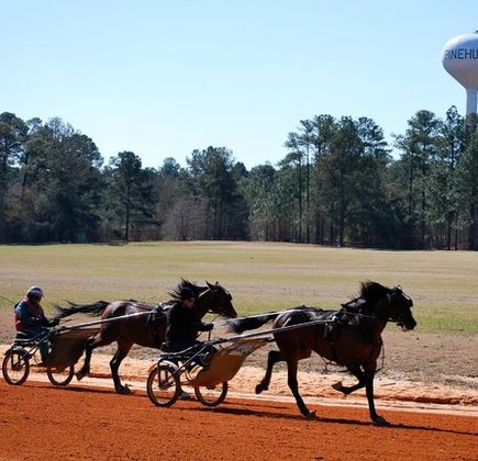 Pinehurst Harness Track 1