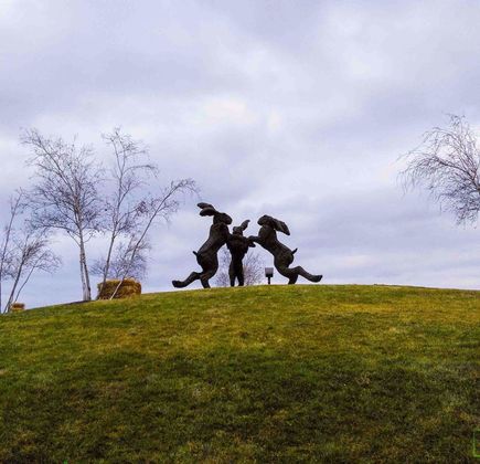 Ballantrae Community Park 1