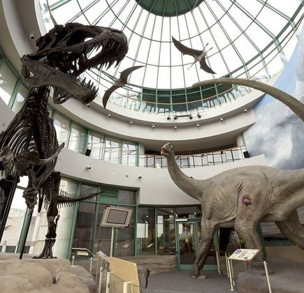 North Carolina Museum of Natural Sciences 1