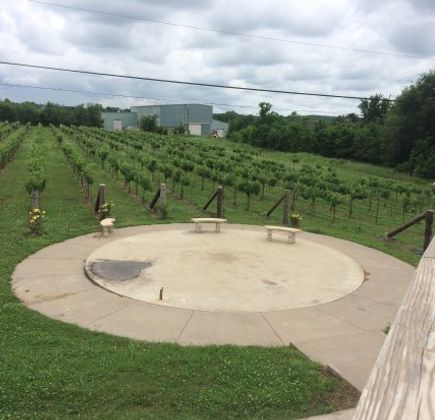 Tidewater Winery 1