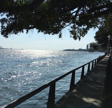 Danshui Rongshu Dao 1