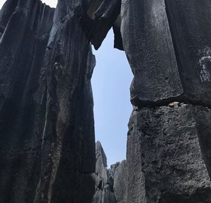 Mt. Zhongling Forest Park 1