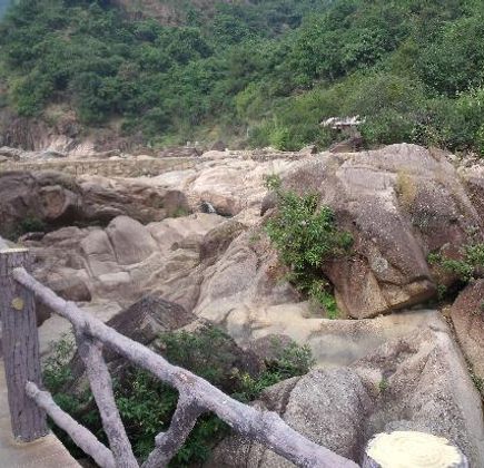 Tianxing Forest Park 1