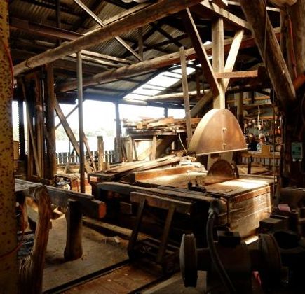 Morrisons Huon Pine Sawmill 1