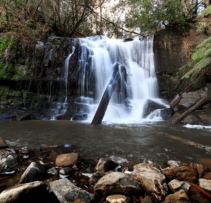 Lilydale Falls 1