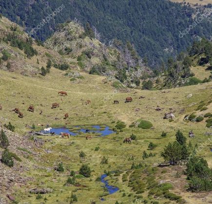 Comapedrosa Highlands Trail 1