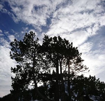 Mirador Coll de la Botella 1
