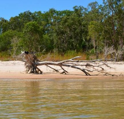 Melville Island 1