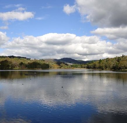 Lake Canobolas 1