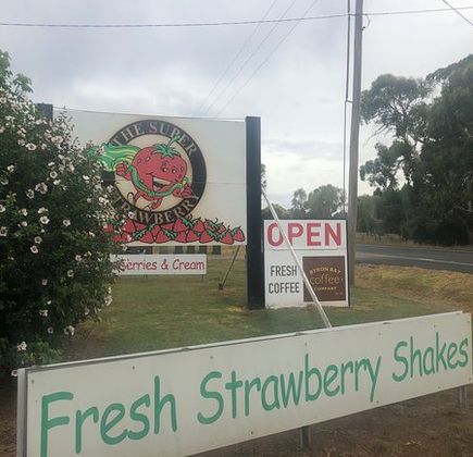 The Super Strawberry 1