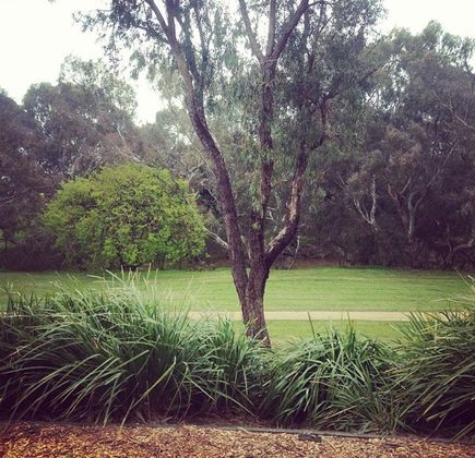 Riverbank Playground 1