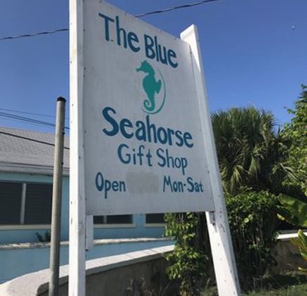 The Blue Seahorse Gift Shop 1