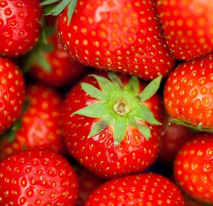 Küppers Erdbeeren 1