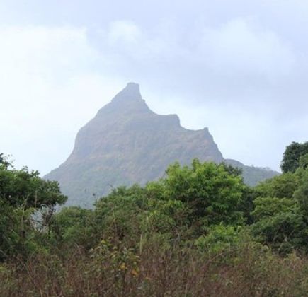 Tung Fort 1