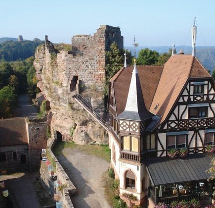 Chateau du Haut-Barr 1