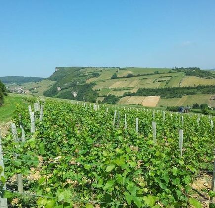 Domaine du Roure 1