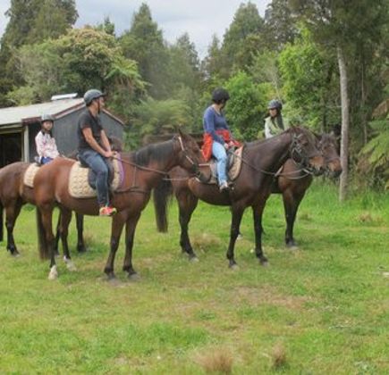 Punakaiki Horse Treks 1
