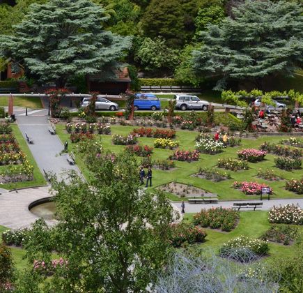 Wellington Botanic Garden 1