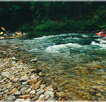 Endau Rompin National Park 1