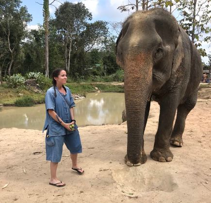Maerim Elephant Sanctuary 1