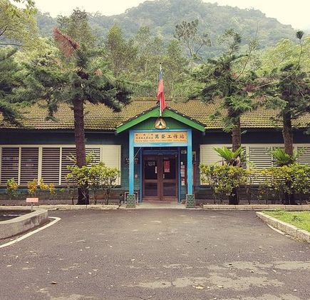 Cultural Park Forest 1