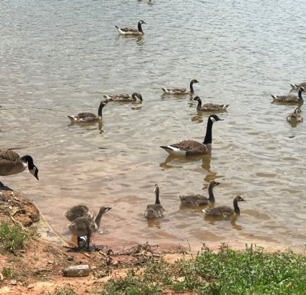 Martin Wildlife Park Trail 1