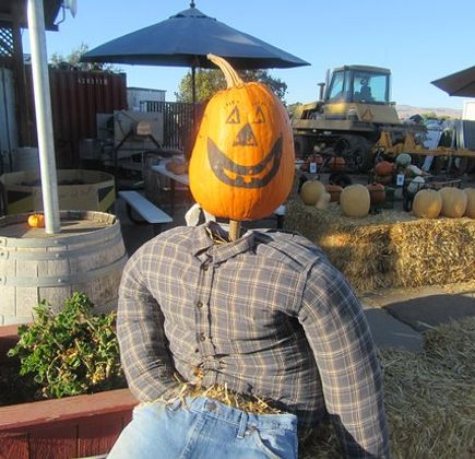 LJB Farms 1