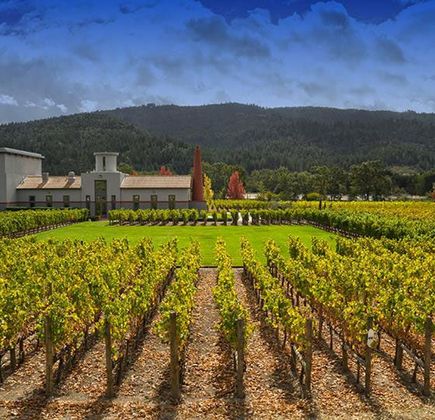 Cardella Winery 1
