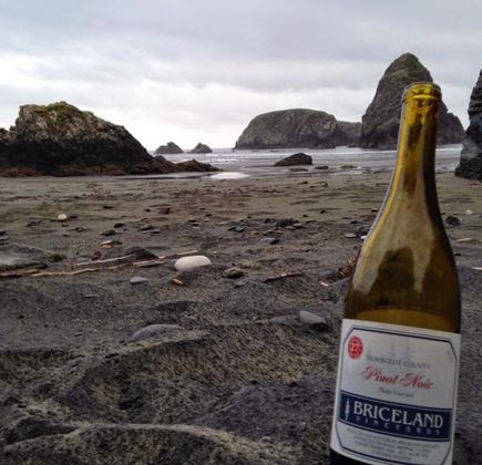 Briceland Vineyards 1