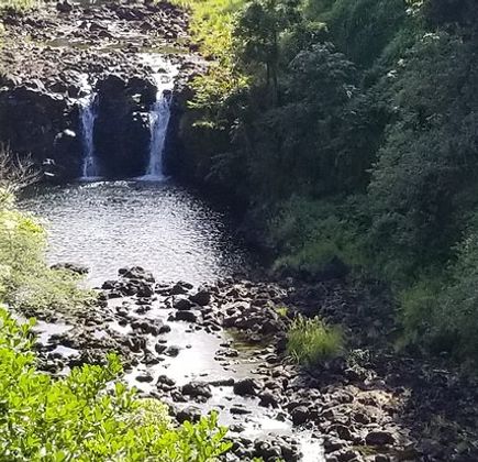 Umauma Falls 1