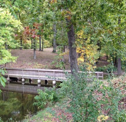 Lake Murphysboro State Park 1