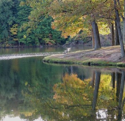 Hudson Springs Park 1