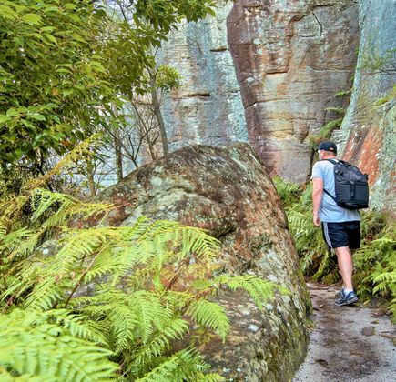 Wolli Creek Walking Track 1