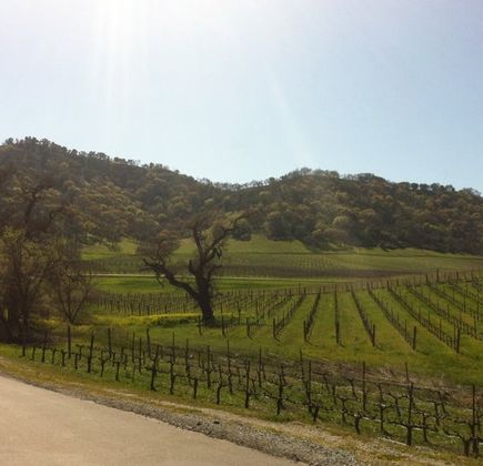Clos LaChance Winery 1