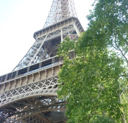 Paris Trans Van 1