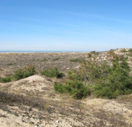 La Côte Sauvage 1