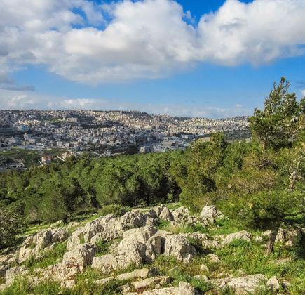 Mt. of Precipice Lookout Point 1